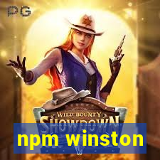 npm winston